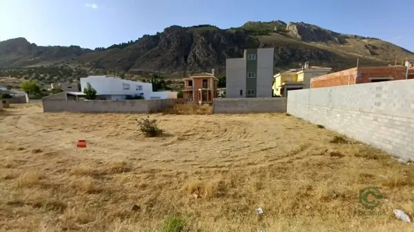 Spot image