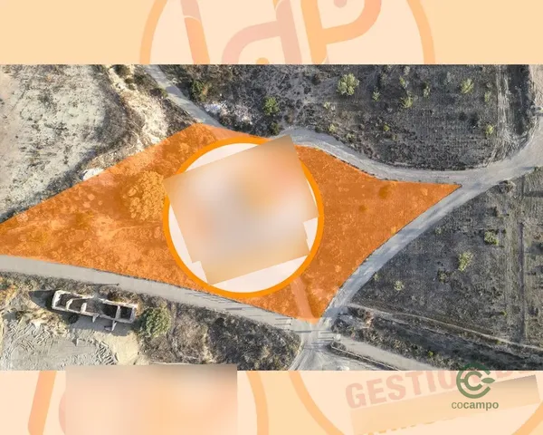 Spot image