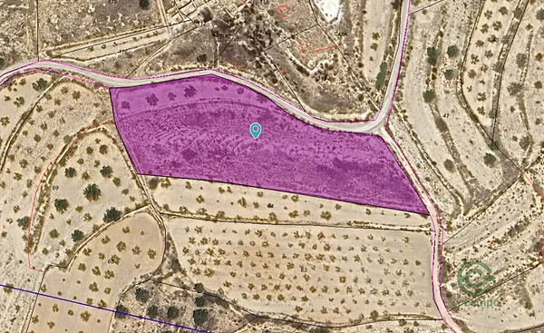 Spot image
