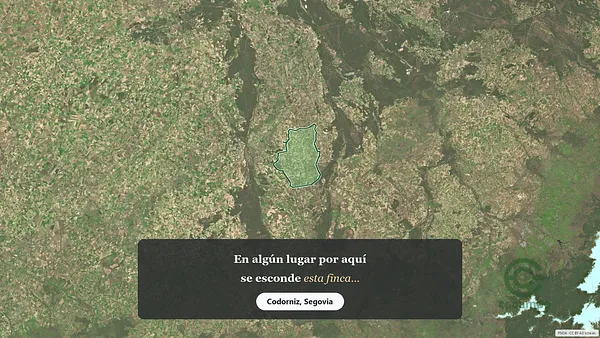 Spot image