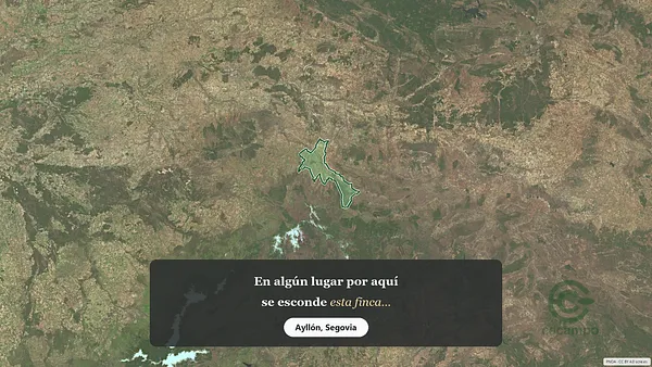 Spot image