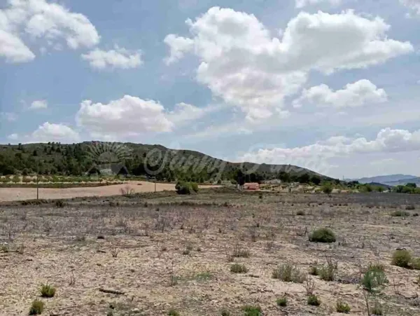 Terreno urbano de 2,1 ha en venta en Yecla, Murcia