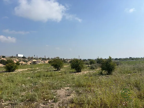 Spot image