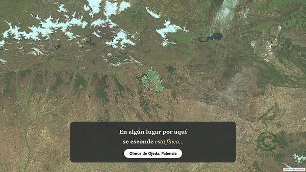 Spot image