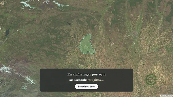 Spot image