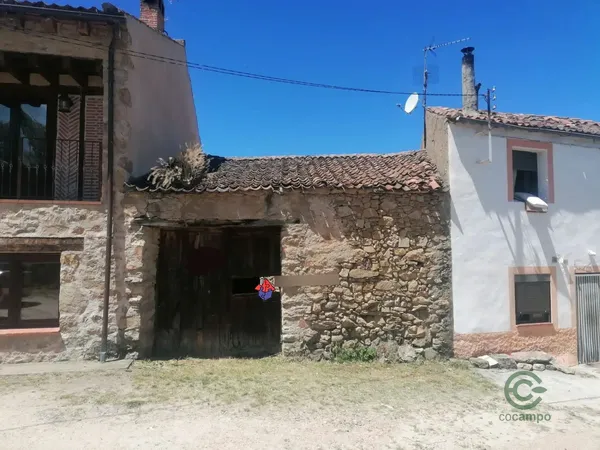 Spot image