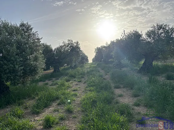 Finca agrícola de 4,41 ha en venta en Córdoba, Córdoba