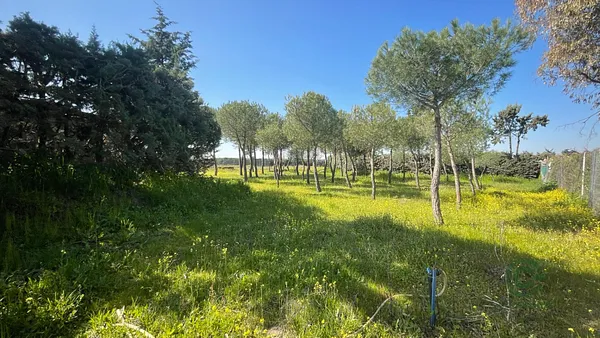 Spot image