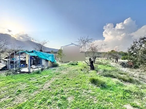 Spot image