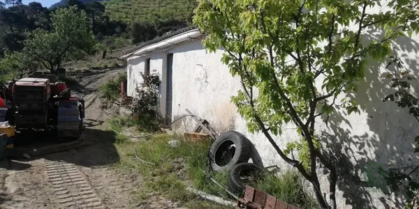Spot image