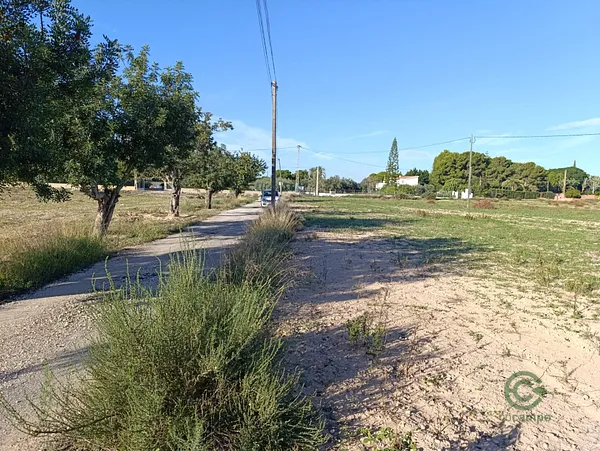 Spot image