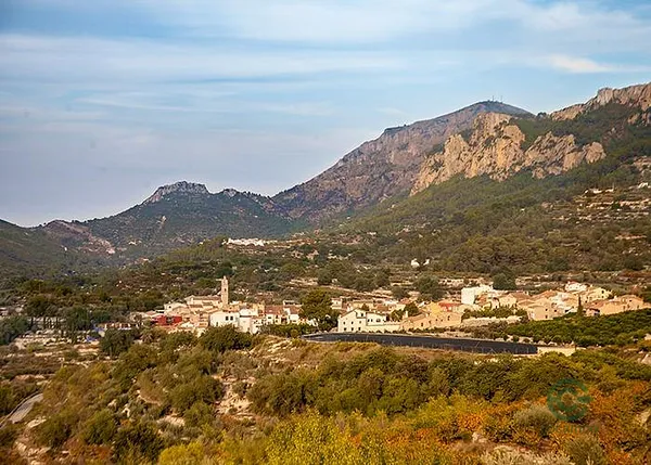 Spot image
