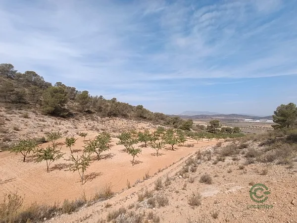 Finca agrícola de 0,9155 ha en venta en Abanilla, Murcia