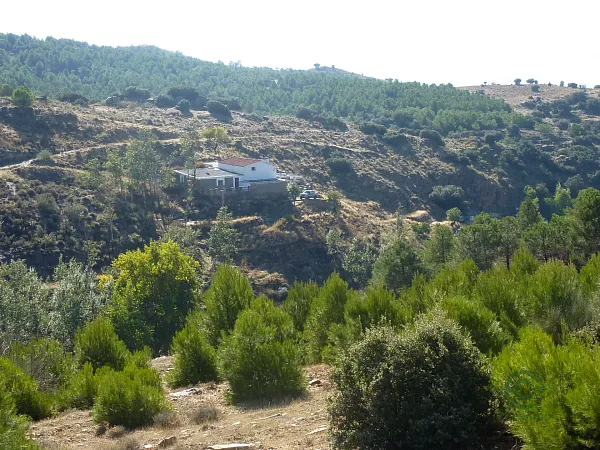 Spot image