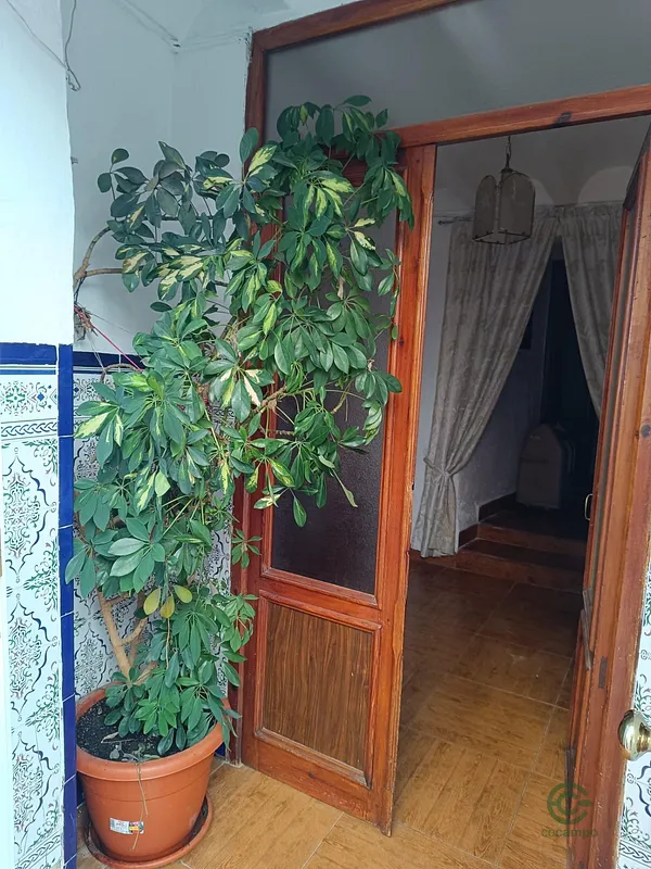 Spot image