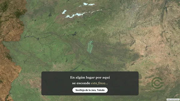 Spot image
