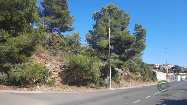 Spot image