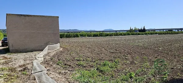 Spot image