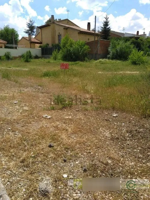 Spot image