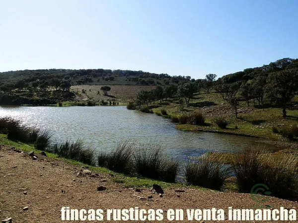 Finca rústica de 25 ha en venta en Ciudad real