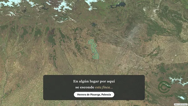 Spot image