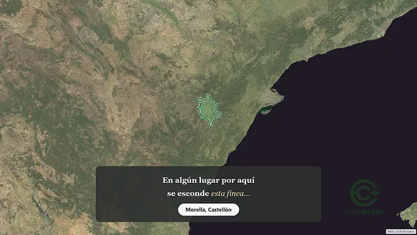 Spot image