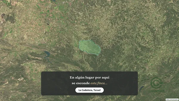 Spot image