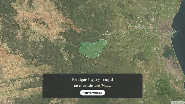 Spot image