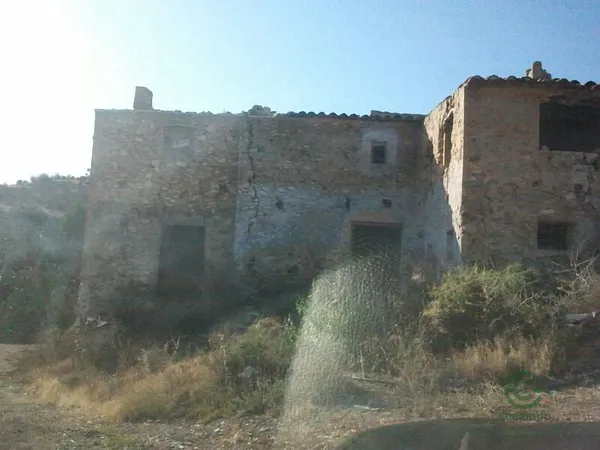 Spot image