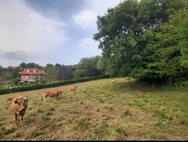 Urban land of 0,19 ha for sale in Oviedo, Asturias
