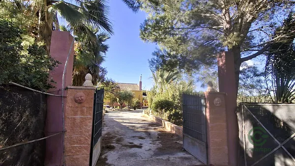 Spot image