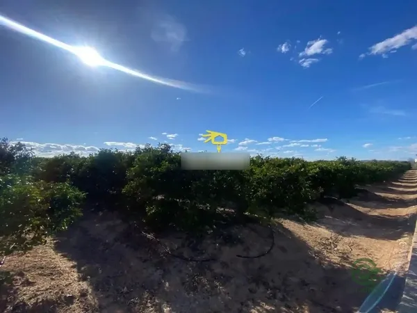 Spot image
