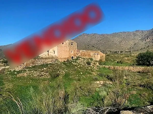 Spot image