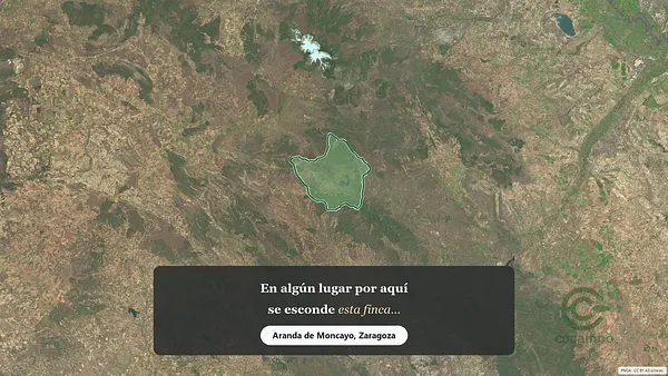 Spot image