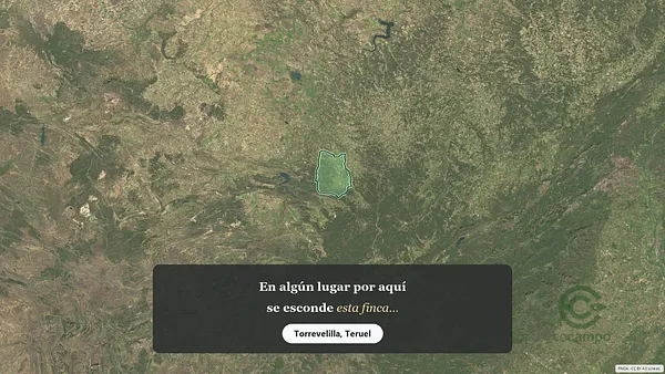 Spot image