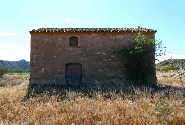 Spot image