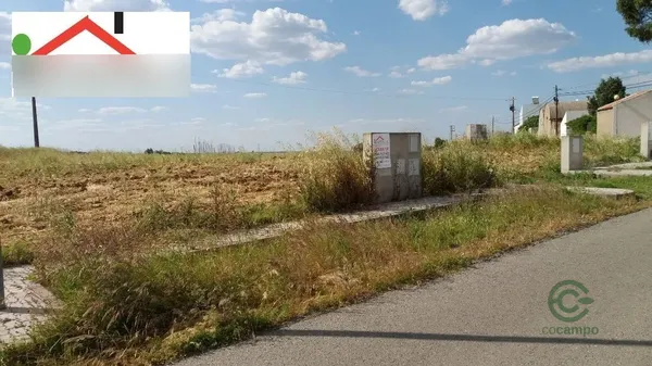 Spot image