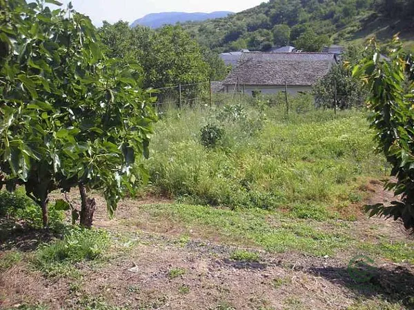 Spot image