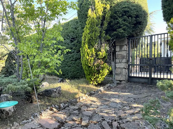 Spot image