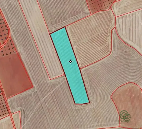 Finca agrícola de 1,66 ha en venta en Santa Cruz De Mudela, Ciudad Real