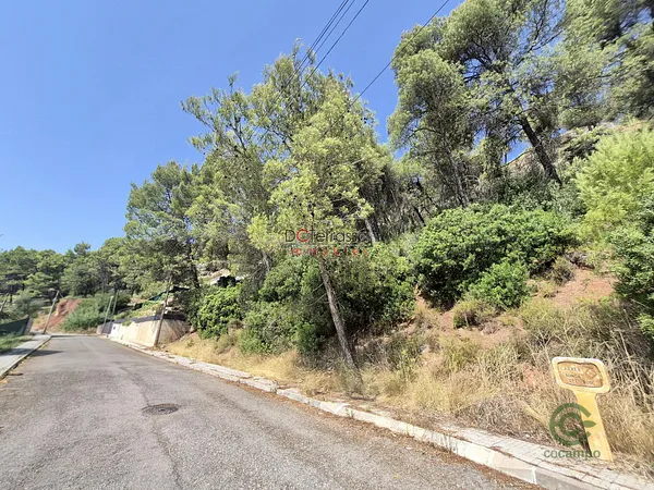 Spot image
