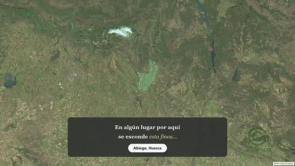 Spot image