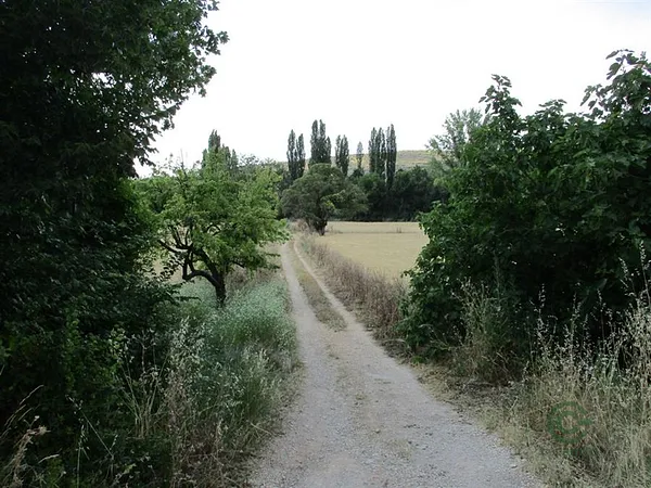 Finca rústica de 25 ha en venta en Morata de tajuña, Madrid