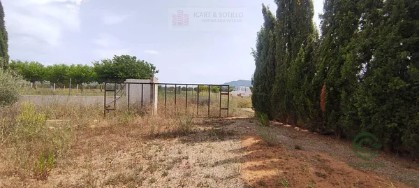 Spot image