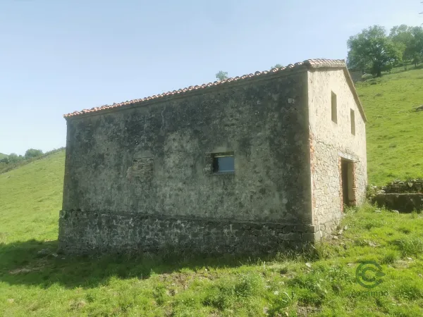 Spot image