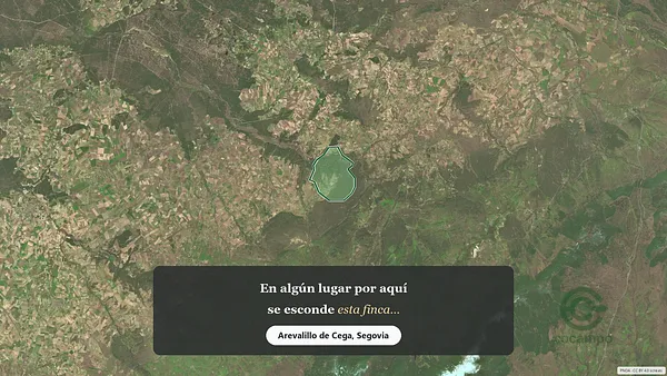 Spot image