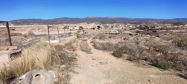Spot image
