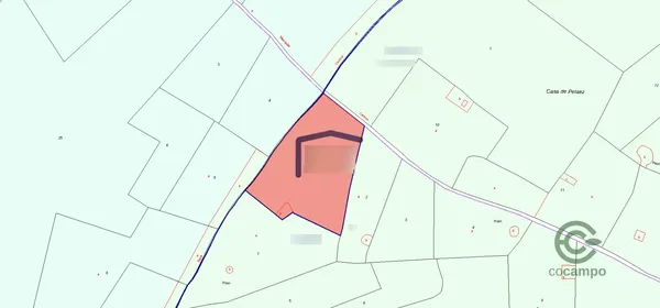 Spot image