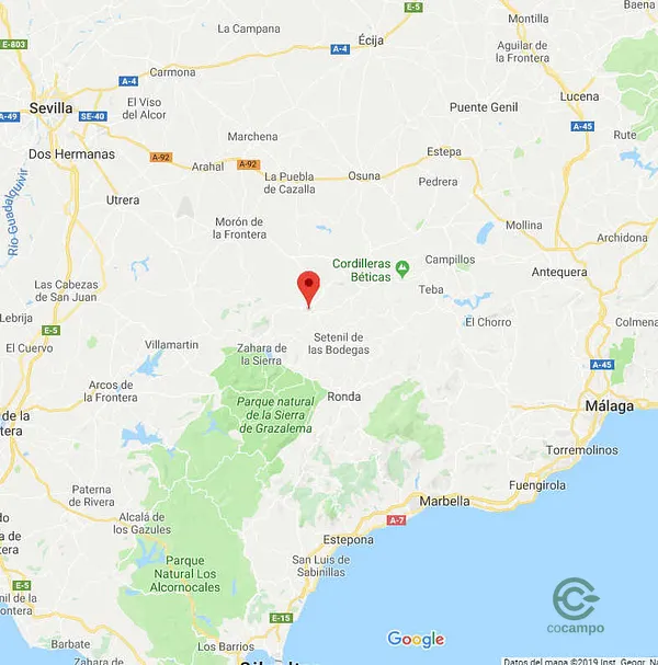 Finca rústica de 0,4778 ha en venta en Olvera, Cádiz