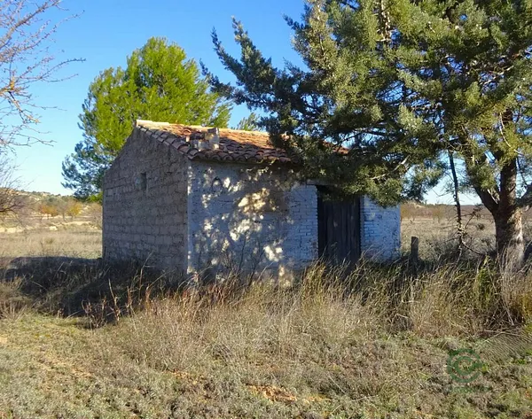 Spot image